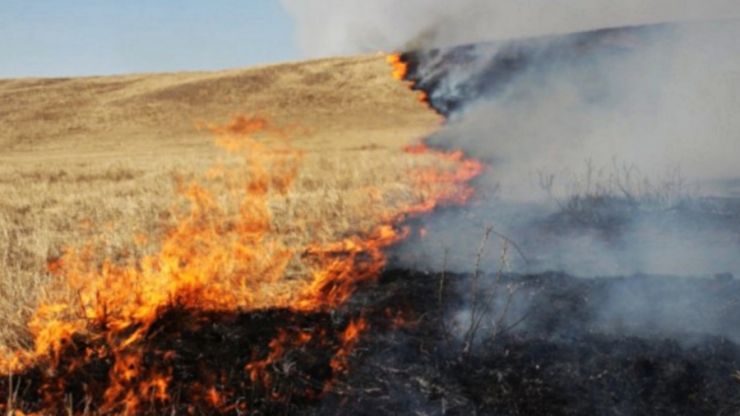 APM Satu Mare | Amenzi mari pentru arderea miriștilor, vegetației ierboase sau incendierea deșeurilor
