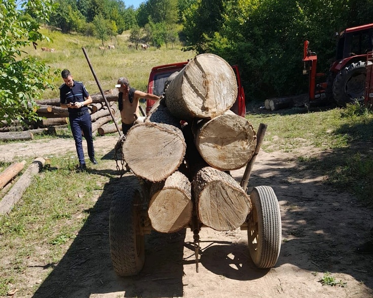 garda mediu gater amendat 2