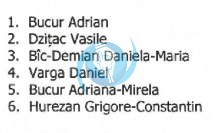 carei aur lista consilieri locali