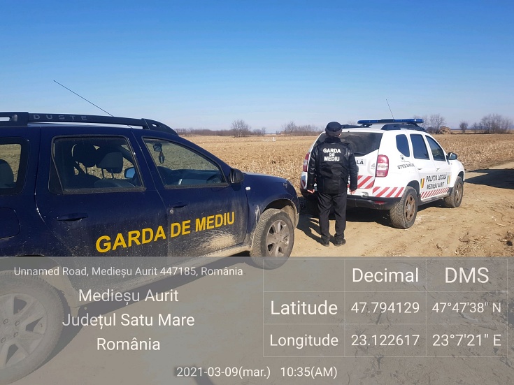 deseuri mediesu aurit1