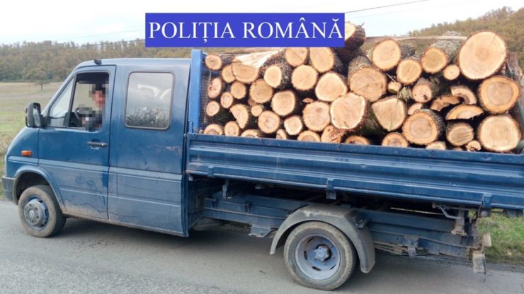 FOTO | Lemne furate cu camionul din județul Satu Mare