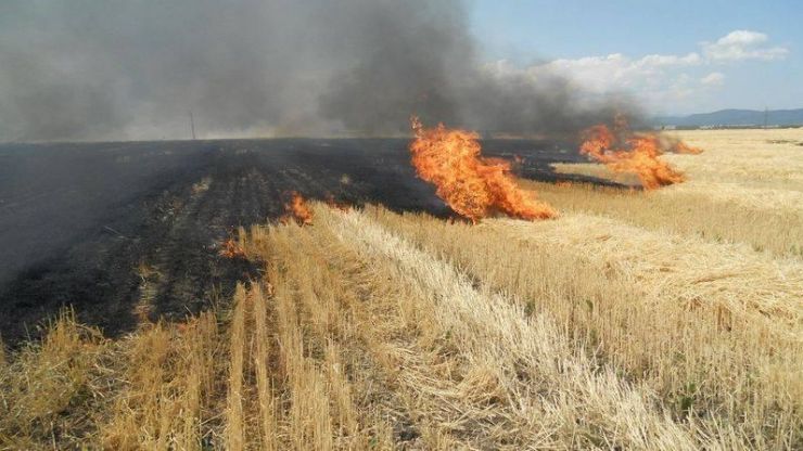 Incendiu de vegetație uscată în localitatea Doba