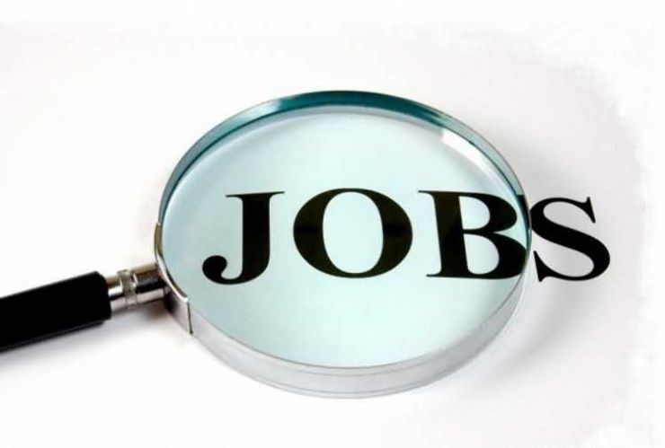 Locuri de muncă vacante în instituțiile publice din județul Satu Mare