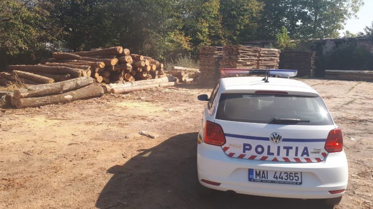 Trei bărbați din Livada prinși după ce au tăiat și furat arbori timp de opt luni