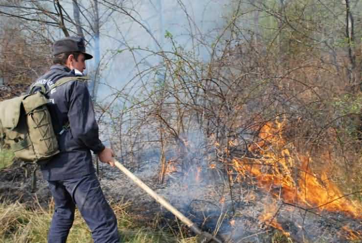 Recomandări ISU. Măsuri pentru prevenirea incendiilor de vegetație
