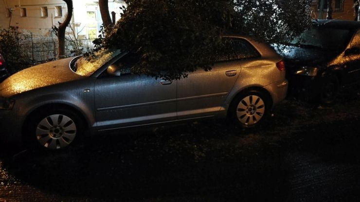 Vântul puternic a făcut ravagii în Satu Mare. Circulație blocată și copaci căzuți peste o mașină și o casă