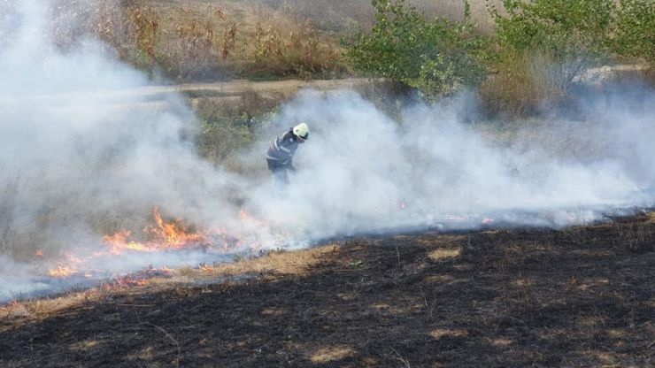 Incendiu de vegetație uscată în Vama